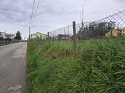 Terreno Rstico - Valongo do Vouga, gueda, Aveiro - Miniatura: 6/6