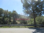 Terreno Urbano - Soure, Soure, Coimbra - Miniatura: 4/5