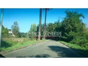 Terreno R�stico T0 - �gueda, �gueda, Aveiro - Miniatura: 2/9