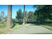 Terreno R�stico T0 - �gueda, �gueda, Aveiro - Miniatura: 3/9