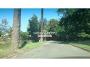 Terreno R�stico T0 - �gueda, �gueda, Aveiro - Miniatura: 5/9