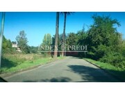 Terreno R�stico T0 - �gueda, �gueda, Aveiro - Miniatura: 8/9