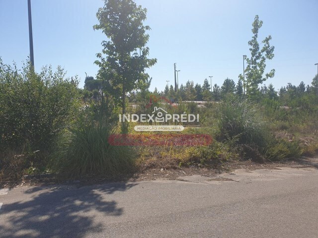 Terreno R�stico T0 - Valongo do Vouga, �gueda, Aveiro - Imagem grande