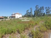 Terreno R�stico T0 - Valongo do Vouga, �gueda, Aveiro - Miniatura: 1/7