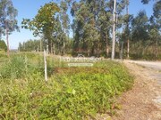 Terreno R�stico T0 - Valongo do Vouga, �gueda, Aveiro - Miniatura: 2/7