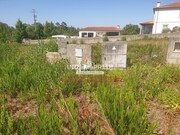 Terreno R�stico T0 - Valongo do Vouga, �gueda, Aveiro - Miniatura: 3/7