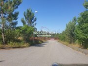 Terreno R�stico T0 - Valongo do Vouga, �gueda, Aveiro - Miniatura: 6/7