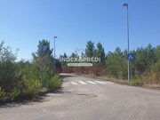 Terreno R�stico T0 - Valongo do Vouga, �gueda, Aveiro - Miniatura: 7/7