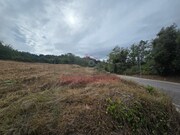Terreno Rstico - Condeixa-a-Velha, Condeixa-a-Nova, Coimbra - Miniatura: 1/9