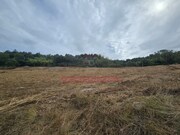 Terreno Rstico - Condeixa-a-Velha, Condeixa-a-Nova, Coimbra - Miniatura: 4/9