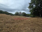 Terreno Rstico - Condeixa-a-Velha, Condeixa-a-Nova, Coimbra - Miniatura: 5/9