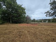 Terreno Rstico - Condeixa-a-Velha, Condeixa-a-Nova, Coimbra - Miniatura: 6/9