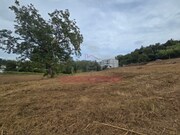 Terreno Rstico - Condeixa-a-Velha, Condeixa-a-Nova, Coimbra - Miniatura: 7/9