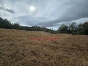 Terreno Rstico - Condeixa-a-Velha, Condeixa-a-Nova, Coimbra - Miniatura: 8/9