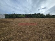 Terreno Rstico - Condeixa-a-Velha, Condeixa-a-Nova, Coimbra - Miniatura: 9/9