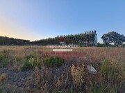 Terreno Rstico - gueda, gueda, Aveiro - Miniatura: 2/9