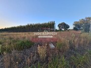 Terreno Rstico - gueda, gueda, Aveiro - Miniatura: 3/9