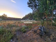 Terreno Rstico - gueda, gueda, Aveiro - Miniatura: 4/9