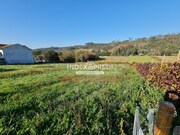 Terreno Rstico - Macinhata do Vouga, gueda, Aveiro - Miniatura: 9/9