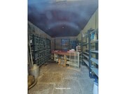 Loja T2 - Guarda, Guarda, Guarda - Miniatura: 1/7