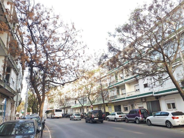 Apartamento T3 - Almada, Almada, Setbal - Imagem grande