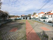 Comrcio - Santa Maria e So Miguel, Sintra, Lisboa - Miniatura: 4/9