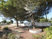 Moradia T3 - So Joo das Lampas, Sintra, Lisboa - Miniatura: 2/9