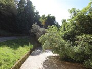 Quinta T3 - Santa Maria e So Miguel, Sintra, Lisboa - Miniatura: 4/9
