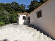 Quinta T3 - Santa Maria e So Miguel, Sintra, Lisboa - Miniatura: 6/9