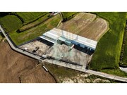 Armazm - CHORENTE, Barcelos, Braga - Miniatura: 4/9