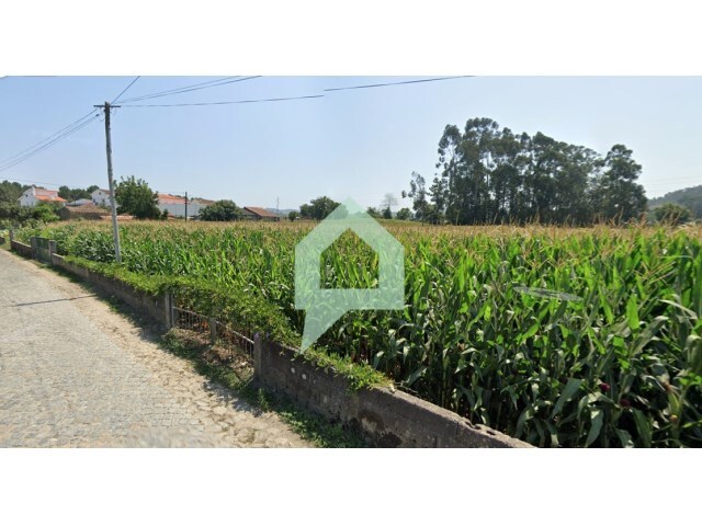 Terreno Rstico - Carvalhal, Barcelos, Braga - Imagem grande