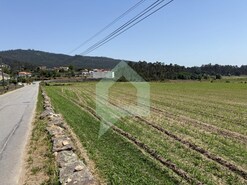 Terreno Rstico - Roriz, Barcelos, Braga