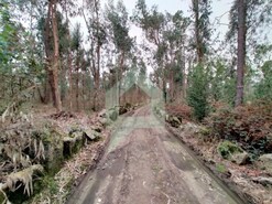 Terreno Rústico Não Definido - Silveiros e Rio Covo, Barcelos, Braga