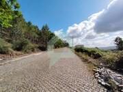 Terreno Urbano - Tamel (Santa Leocdia), Barcelos, Braga - Miniatura: 4/8