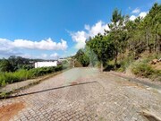 Terreno Urbano - Tamel (Santa Leocdia), Barcelos, Braga - Miniatura: 6/8
