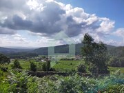 Terreno Urbano - Tamel (Santa Leocdia), Barcelos, Braga - Miniatura: 7/8