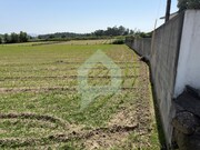 Terreno Rstico - Roriz, Barcelos, Braga - Miniatura: 2/7