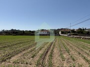 Terreno Rstico - Roriz, Barcelos, Braga - Miniatura: 3/7