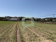 Terreno Rstico - Roriz, Barcelos, Braga - Miniatura: 4/7