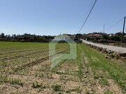 Terreno Rstico - Roriz, Barcelos, Braga - Miniatura: 5/7
