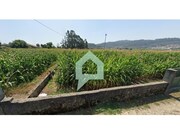 Terreno Rstico - Carvalhal, Barcelos, Braga - Miniatura: 1/8