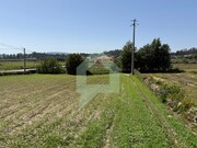 Terreno Rstico - Roriz, Barcelos, Braga - Miniatura: 5/9