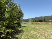 Terreno Rstico - Roriz, Barcelos, Braga - Miniatura: 8/9