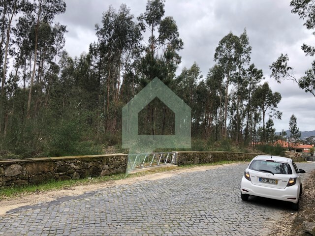 Terreno Rústico - Alvelos, Barcelos, Braga - Imagem grande