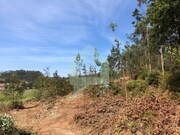 Terreno Rstico - CHORENTE, Barcelos, Braga - Miniatura: 9/9
