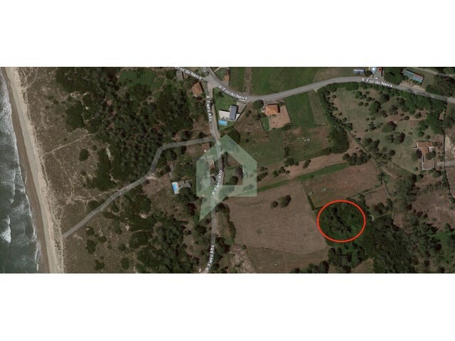Terreno R�stico - Antas, Esposende, Braga - Imagem grande