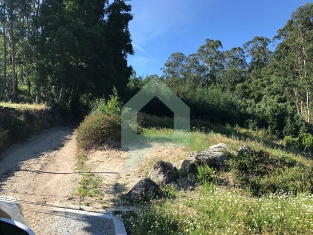 Terreno R�stico - Creixomil, Barcelos, Braga - Imagem grande