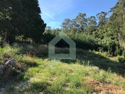 Terreno R�stico - Creixomil, Barcelos, Braga - Miniatura: 1/9