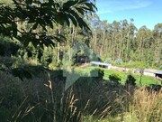Terreno R�stico - Creixomil, Barcelos, Braga - Miniatura: 3/9