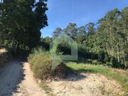Terreno R�stico - Creixomil, Barcelos, Braga - Miniatura: 5/9